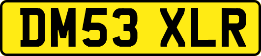DM53XLR