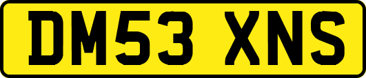 DM53XNS