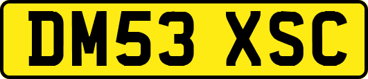 DM53XSC