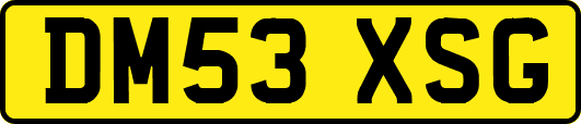 DM53XSG