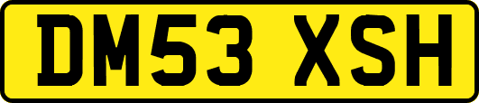 DM53XSH
