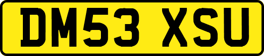 DM53XSU