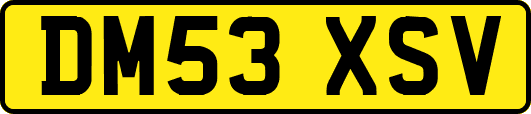 DM53XSV