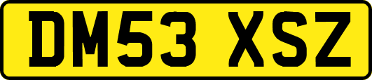 DM53XSZ