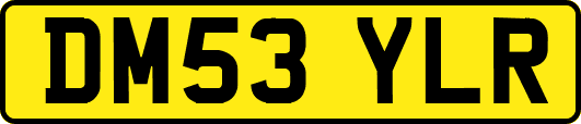 DM53YLR