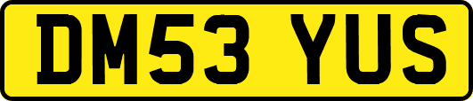 DM53YUS