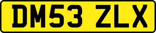 DM53ZLX