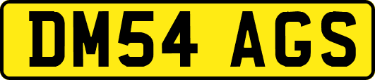 DM54AGS