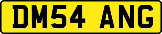 DM54ANG