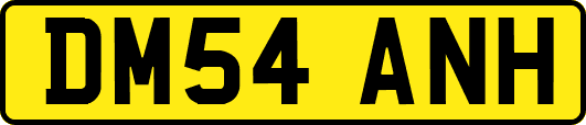 DM54ANH