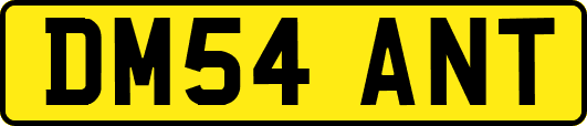 DM54ANT