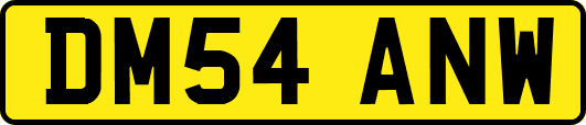 DM54ANW