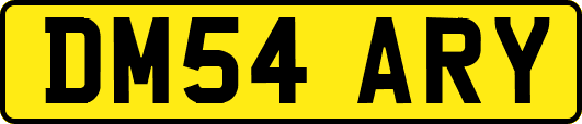 DM54ARY