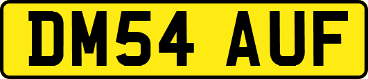 DM54AUF