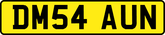 DM54AUN