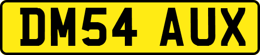 DM54AUX