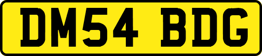 DM54BDG