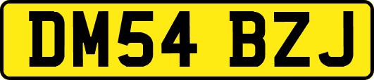 DM54BZJ