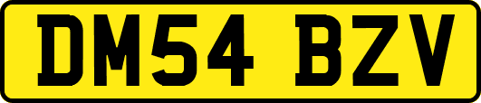 DM54BZV