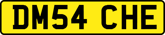 DM54CHE