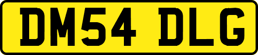 DM54DLG