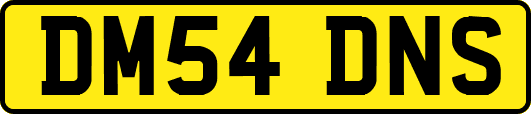 DM54DNS