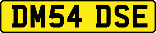 DM54DSE
