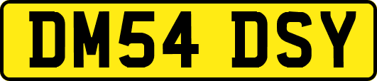 DM54DSY