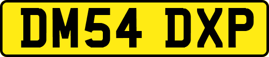 DM54DXP