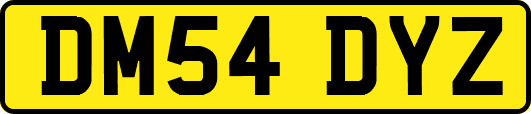 DM54DYZ