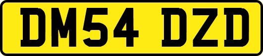 DM54DZD