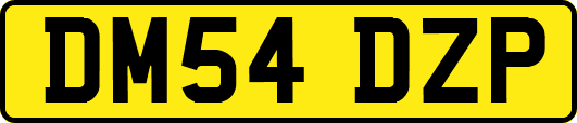 DM54DZP