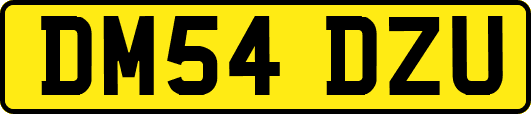 DM54DZU