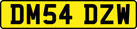 DM54DZW