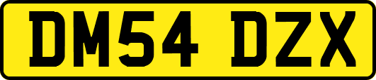 DM54DZX