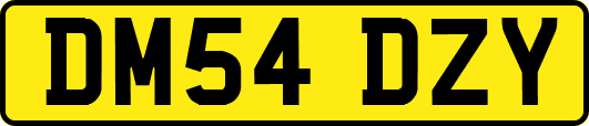DM54DZY