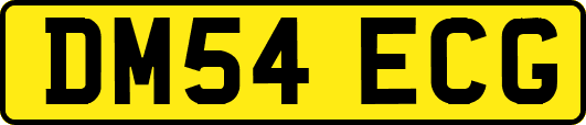 DM54ECG