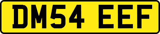 DM54EEF