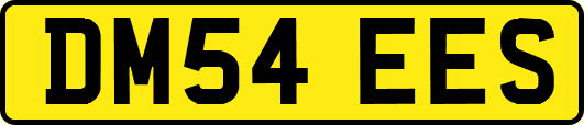 DM54EES