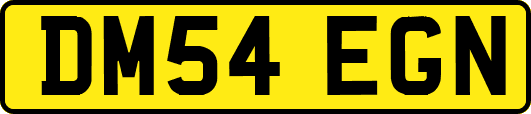 DM54EGN