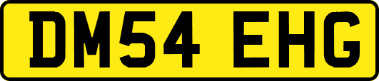 DM54EHG
