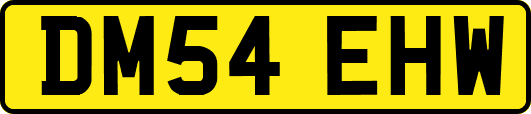 DM54EHW