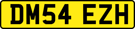 DM54EZH