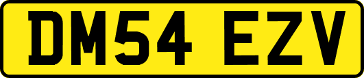 DM54EZV