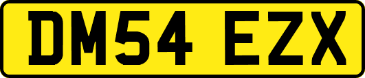 DM54EZX