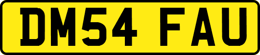 DM54FAU
