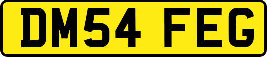 DM54FEG