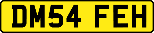 DM54FEH