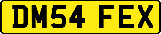 DM54FEX
