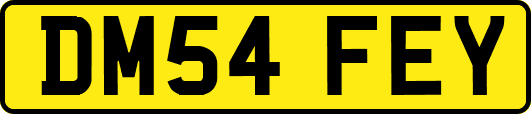 DM54FEY